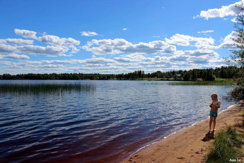 Vikajärvi Ahosen Lomamoekit 빌라 외부 사진