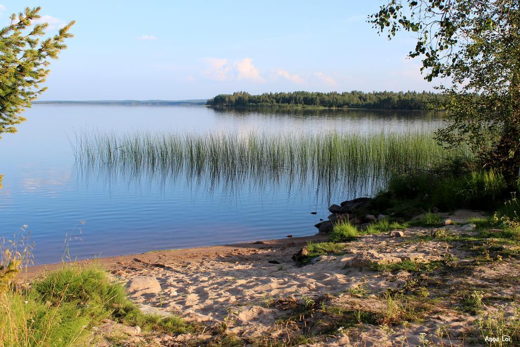 Vikajärvi Ahosen Lomamoekit 빌라 외부 사진