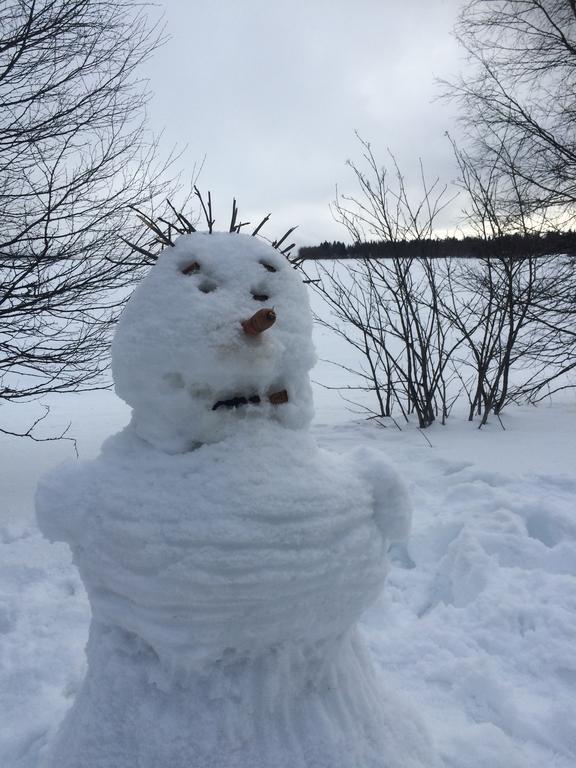Vikajärvi Ahosen Lomamoekit 빌라 외부 사진